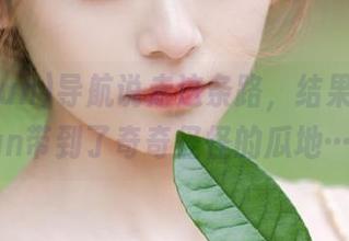 导航说走这条路，结果被166fun带到了奇奇怪怪的瓜地……