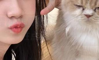 吃瓜福利更新，天呐，我的关注点又偏了……